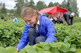 Kiitos ja menestystä tulevalle kasvukaudelle!