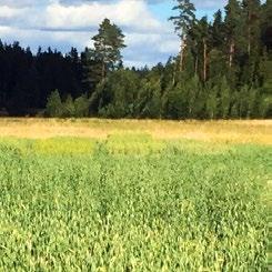 Toimistot TANSKA NORJA Fazer Mylly RUOTSI SUOMI VIRO LATVIA LIETTUA Fazer Cafés VENÄJÄ SUOMI