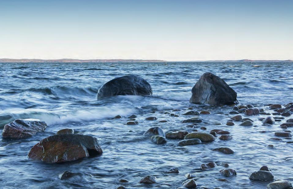 mieltymyksillä, esim. kuparilla ja rouheilla valinnoilla.