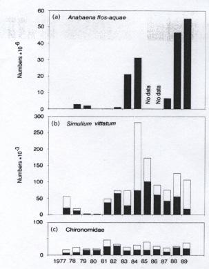 (1999): Does substantial