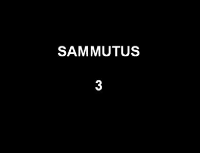 10 JÄRJESTELMÄN KÄYNNISTÄMINEN 1. Paina VIRTA-painiketta, kunnes näytössä näkyy Zipwake-logo. 2. Lue HUOMIO-teksti ja paina OK tai odota (7 s) päänäyttöä. OTA HUOMIOON!