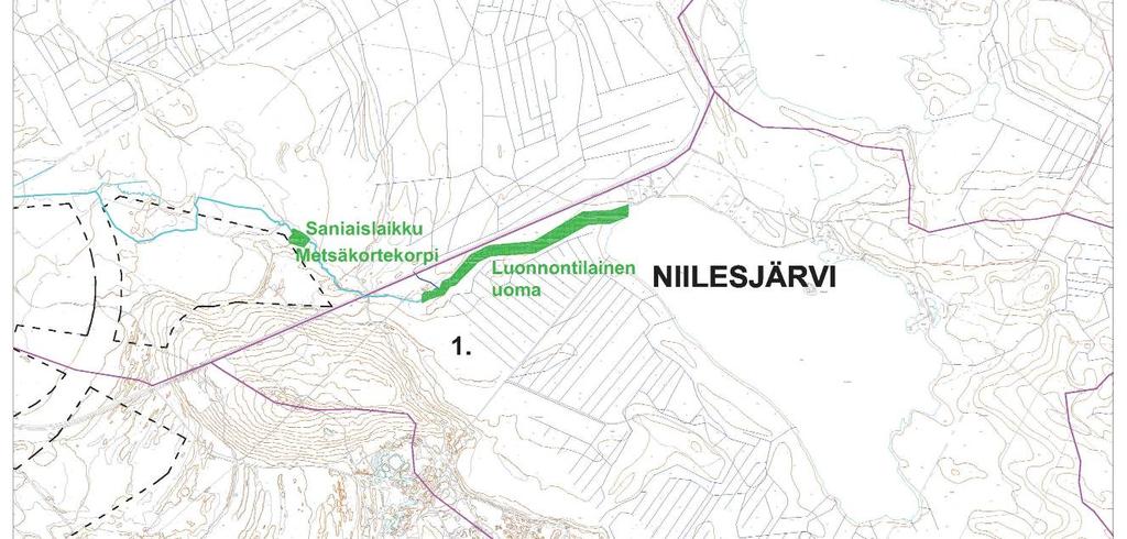 Arvokkaat luontotyypit Hiukkavaaran arvokkaimmat luontotyypit Myllyojan varressa sijoittuvat suunnittelualueen ulkopuolelle. Hiukkavaaran keskuksen alueella ei ole havaittu uhanalaisia lajeja.