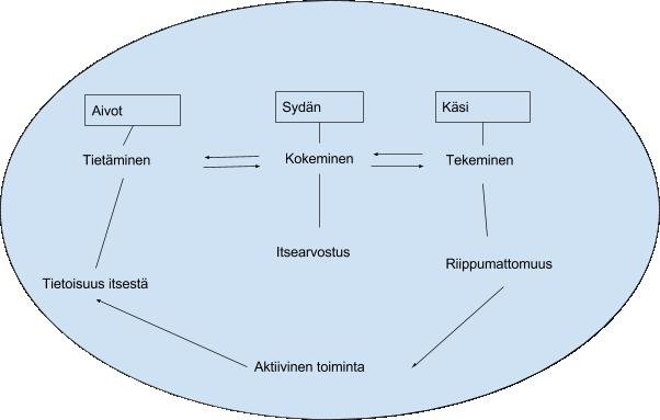 16 KUVIO 3. Aivot-sydän-käsi kokonaisvaltaisessa oppimisessa (Mukaillen Telemäki 1998, 43).
