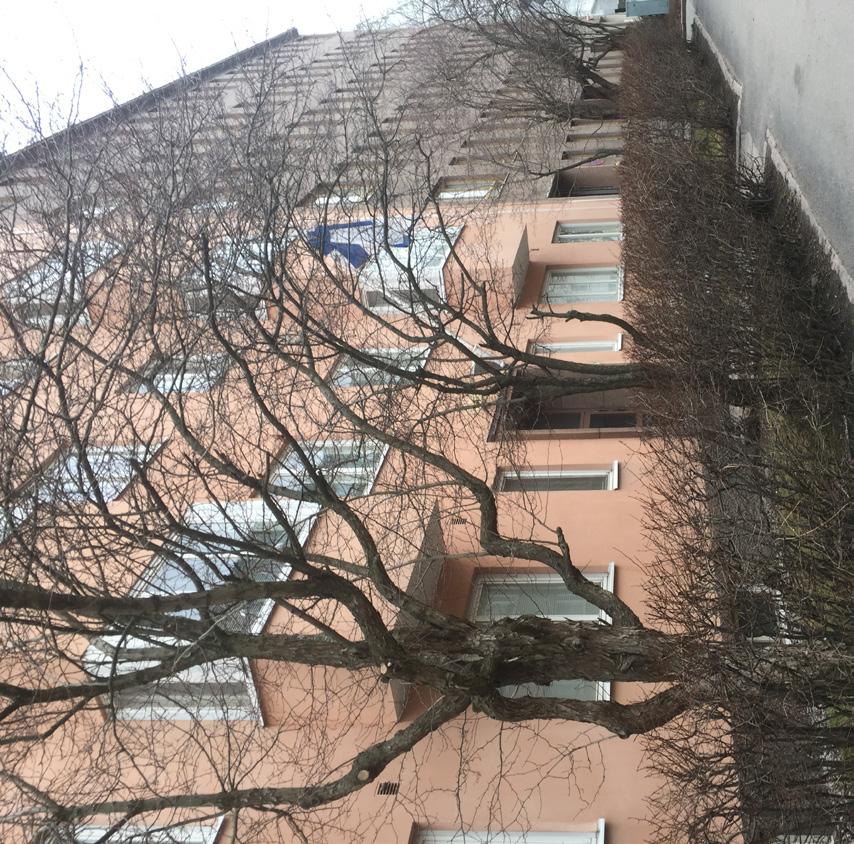 käyttö ypärtörakenteena