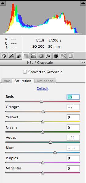 Liite 1 21 HSL/GRAYSCALE: Välilehdellä voidaan säätää kuvan värisävyä, kirkkautta ja kylläisyyttä kahdeksalla väri- alueella.