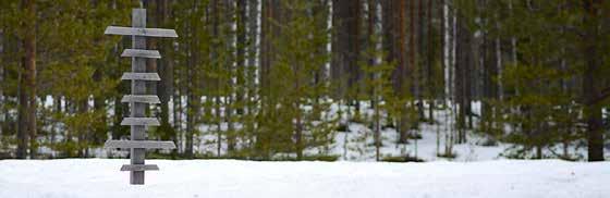 sarkela@msarkela.com www.msarkela.com R3 Uunituore leipäkuorma Taivalkosken torilla Pe 26.5. klo 10.