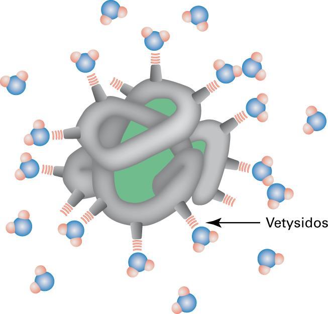 Vesimolekyylien ympäröimä proteiinimolekyyli sähkökenttä vesimolekyylejä