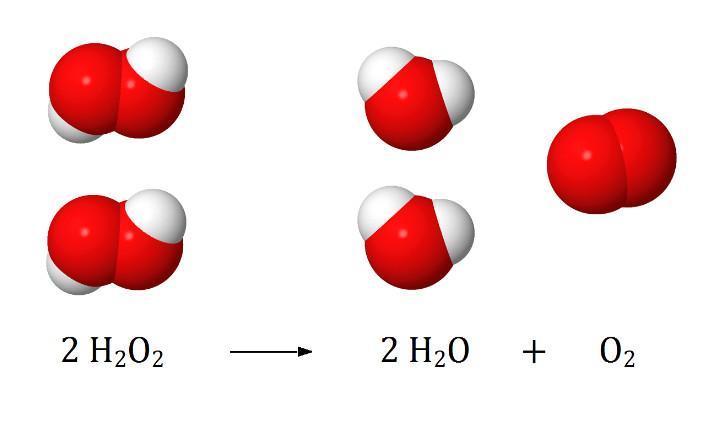 Kuva 1. Vetyperoksidin hajoaminen vedeksi ja hapeksi. Vetyperoksidin hajoamisreaktio on erittäin hidas, mutta sitä voidaan nopeuttaa katalyytin avulla.