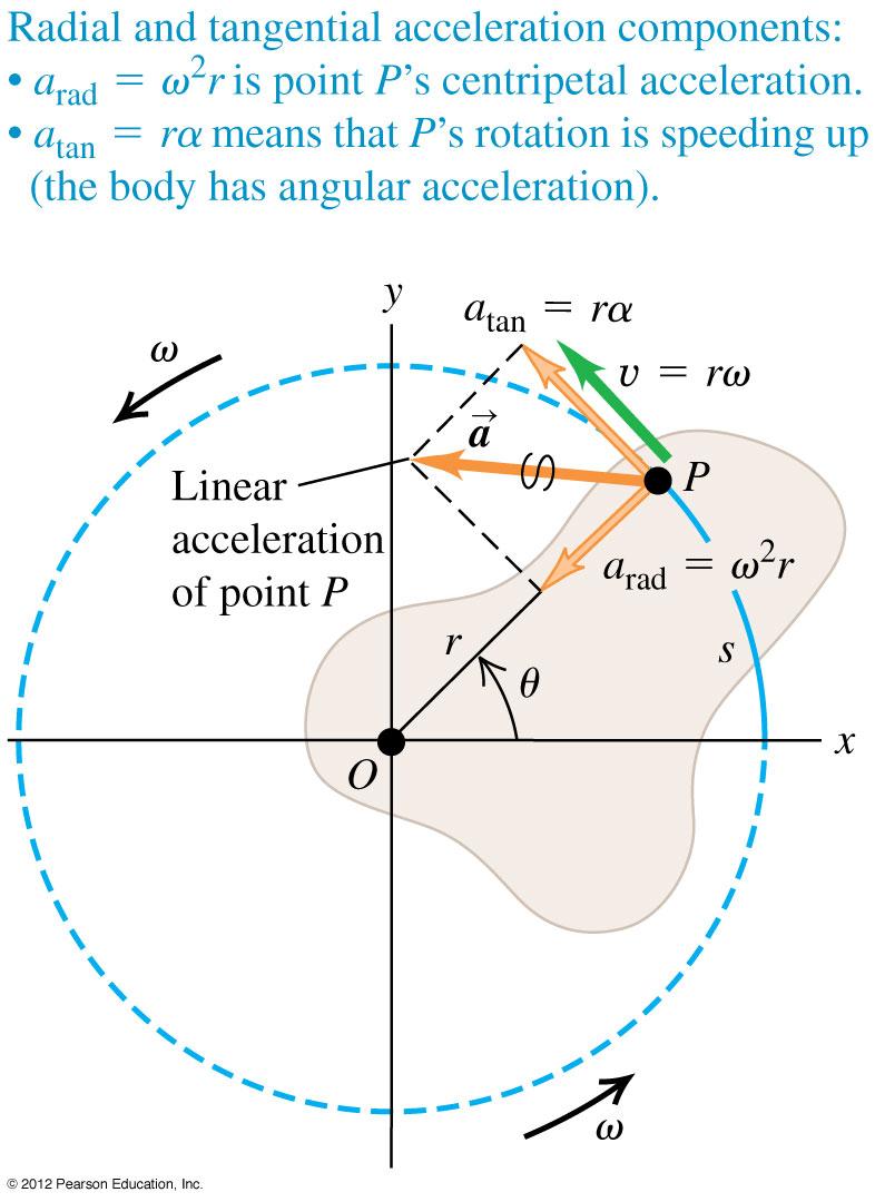 Lineaarinen kiihtyvyys rotaatiossa Kuten aiemmin kappaleessa 3.