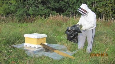 10 (66) siitepölyä. Medestä mehiläiset valmistavat hunajaa, ja siitepölyä kerätään toukkien ruoaksi. Tätä keruutyötä tehdessään mehiläiset pölyttävät kasveja, joiden laatu ja sato paranevat.