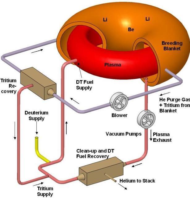 39 Toista pulssilla toimivaa voimajärjestelmää käytetään plasmaoperaatioiden aikana tarjoamaan suprajohtaville magneettikeloille, sekä lämmitys ja virran ajojärjestelmille niiden tarvitseman suuren