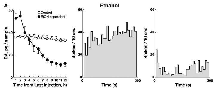 Accumbens Striatum VTA SNc Eläinmalleissa alkoholivieroitukseen liittyy dopaminergisen hermovälityksen väheneminen Control Withdrawal