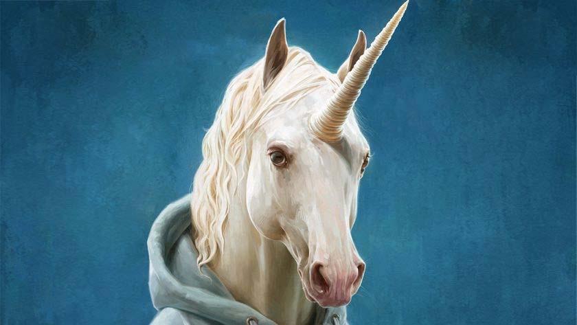 HANKE 33 30.3.2017 Future unicorns?