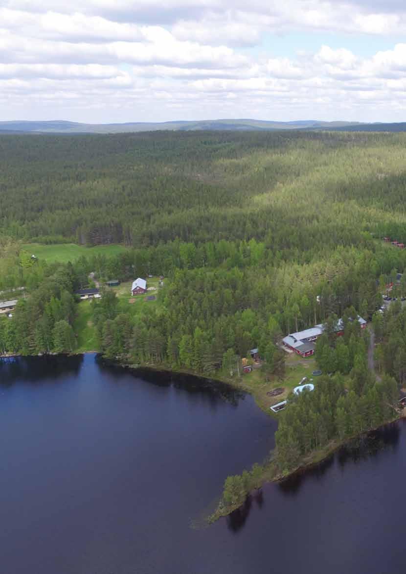 Miltä kuulostaisi leirikoulu Lapin Rivieralla? Palojärven lomakeskus on monipuolinen leirikoulukohde luonnonkauniin Palojärven rannalla Rovaniemen Songassa.