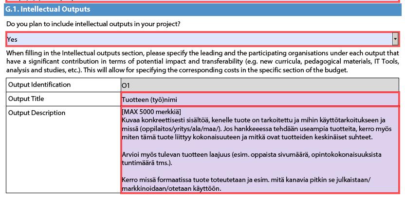 G.1 Intellectual outputs (1/2) Täytetään vain, jos kyseessä Development of innovation -hanke Lisää tuotteet taulukkoon loogisessa järjestyksessä (esim.