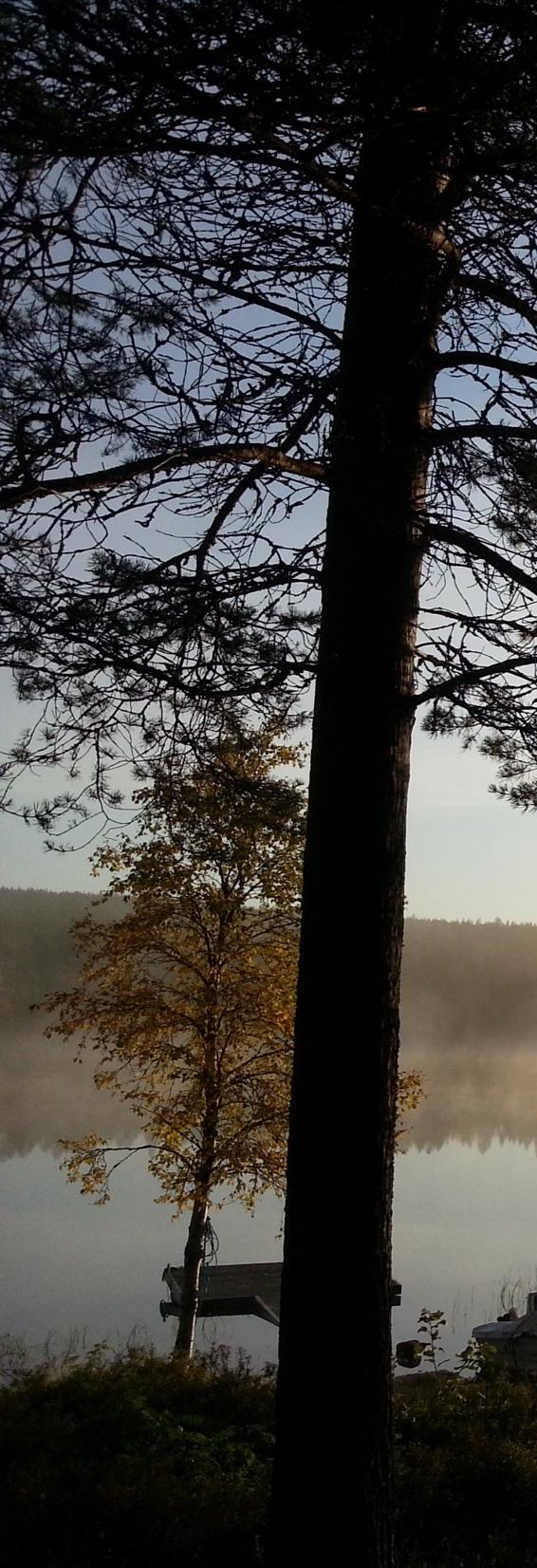 Kysely palvelujen käytöstä Kysytään työpakettikohtaisessa lomakkeessa Sosiaali- ja terveyspalvelut Vastaanottokäynnit Kotikäynnit Laitoshoito ja asumispalvelut