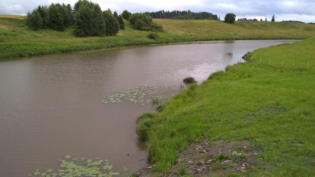 kuvat yllä). Mittari on kiinnitetty sisäputken päähän, joka kulkee maan alla paikallaan olevassa isommassa ulkoputkessa. Putken pää on kaivonrenkaan päällä jokivedessä.