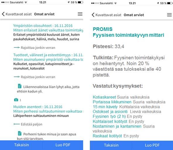 29 Tämän jälkeen avautui näkymä, johon ko. asiasta voi kirjoittaa lisätietoa. Näkymässä oleva mikrofoni-kuvake ei toiminut, koska tätä toiminnallisuutta ei ollut kehitetty.