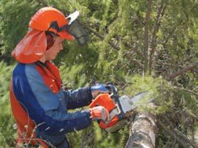 Ylipitkät puut kaadetaan tai puiden latvoja katkaistaan 2 4 metriä helikopterisahauksella. Latvasahattuja puita ei tarvitse korjata heti.