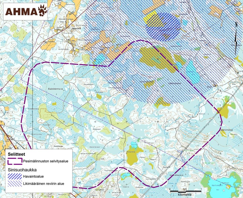 19 Kuva 7-2. Sinisuohaukan reviirin sijoittuminen hankealueelle vuonna 2012. Lajin esiintyminen vaihtelee hyvin suuresti myyrähuippujen mukaan.