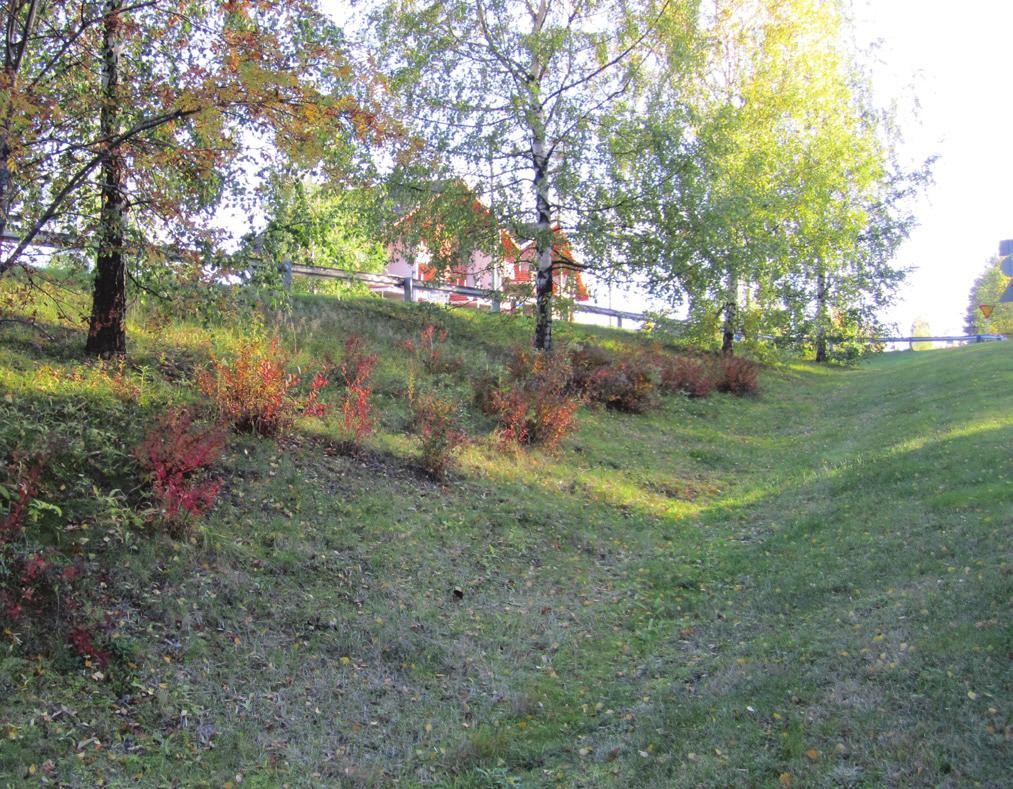 Mikäli alue halutaan säilyttää istutettuna, luokitellaan se kuntoluokkaan 2.