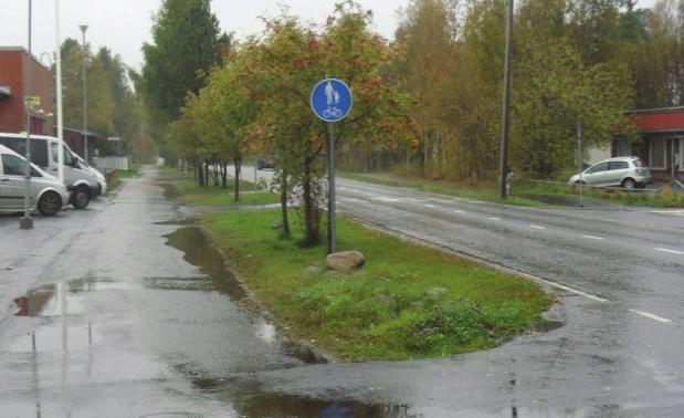 Valokuvien tulee olla kohteen erityispiirteet ja hoitotarpeet selvästi esille tuovia, kuvien laatua parannetaan tarvittaessa kuvankäsittelyohjelman avulla.