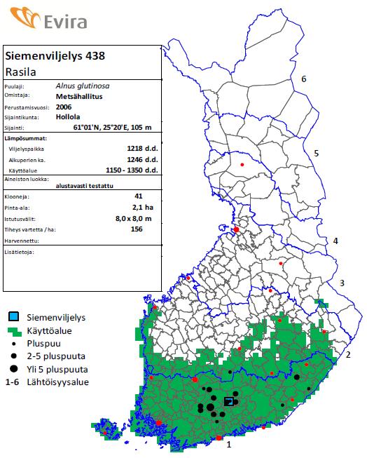 Sv 438 Rasila Tervaleppä, Alnus glutinosa Vartesiemenviljelys Perustettu 2006 Pinta-ala 2 ha Sijaitsee Hollolassa 41