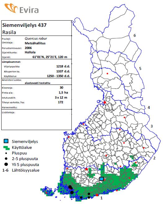 Sv 437 Rasila Tammi, Quercus robur Vartesiemenviljelys Perustettu 2007 Pinta-ala 1,5 ha Sijaitsee Hollolassa 30 kloonia,