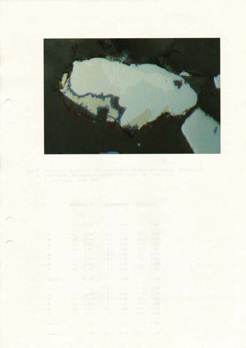 Kuva 12. Kookas palladium-mineraalien yhteenkasvettumarae raskasmineraalifraktiossa.