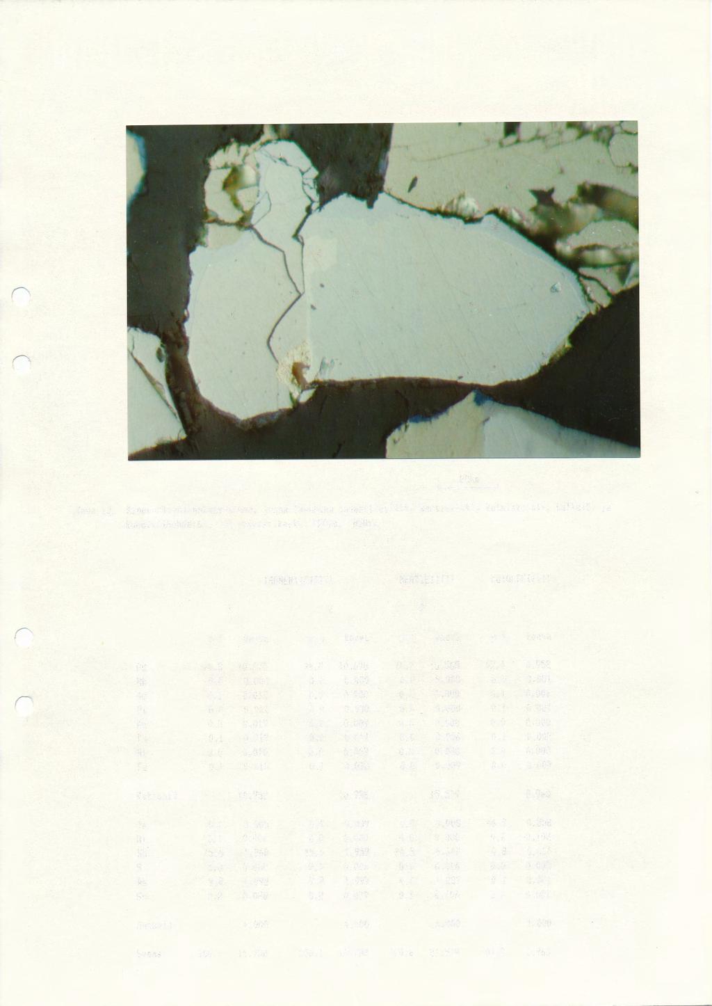 Kuva 13. Mineraaliyhteenkasvettuaa, jossa faaseina isomertieiitti, ffiertieiitti, kotulskiitti, kultal51 ja kobolttihohdel61. T~ryp~yt~rikaste -250pm. 850x.