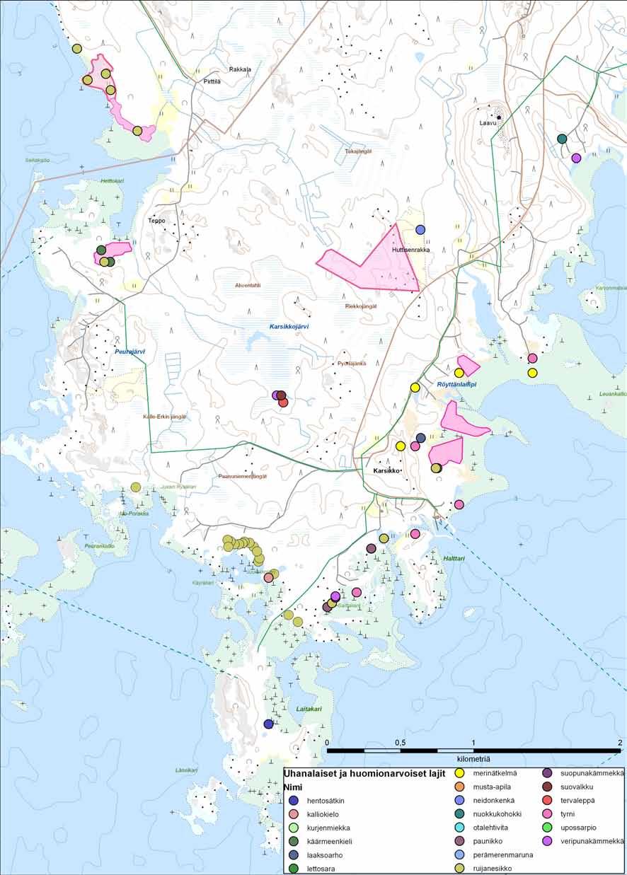 51(124) Kuva 9-5. Karsikkoniemen uhanalaisten kasvilajien kasvupaikat lajeittain. 9.3.