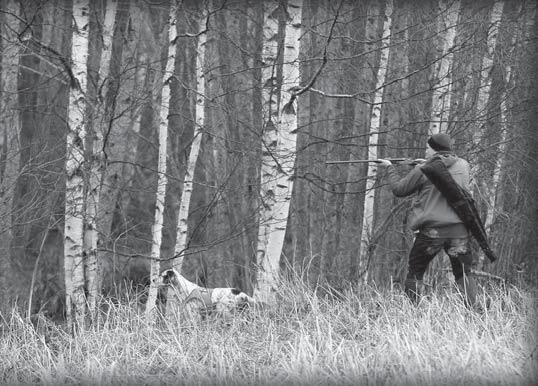 Suomessa on haluttu ylläpitää perinnettä, jossa koiran tyylillä ja hakutyöskentelyllä on tärkeä merkitys palkitsemiseen.