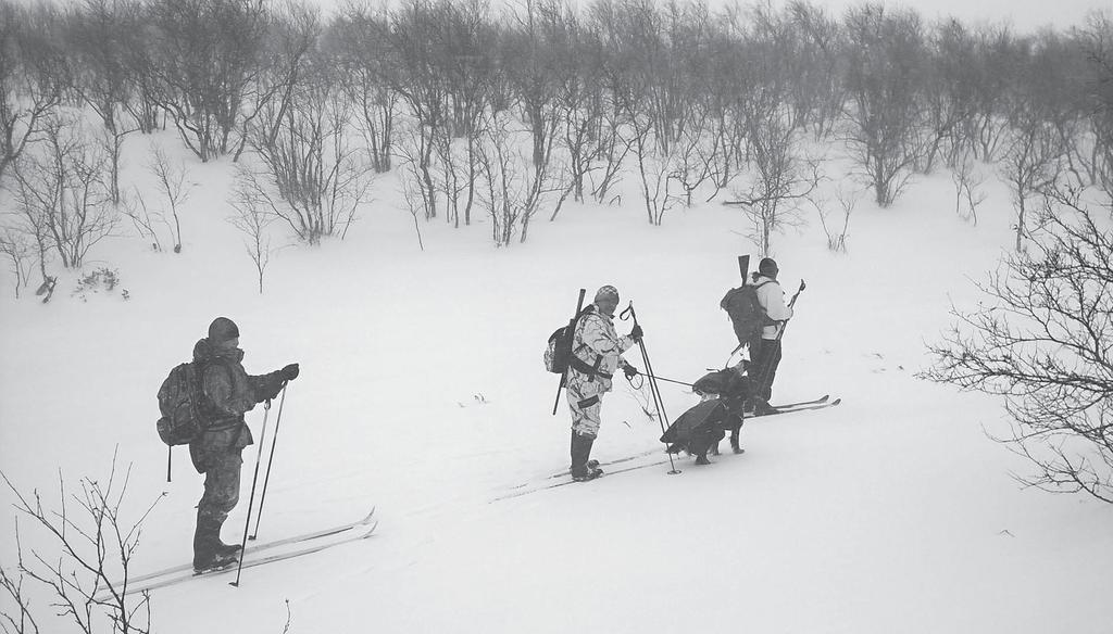 Teksti ja kuvat: Ilkka Korhonen Mitä metsästyskokeiden ominaisuusarviointilomake kertoo koirastasi?