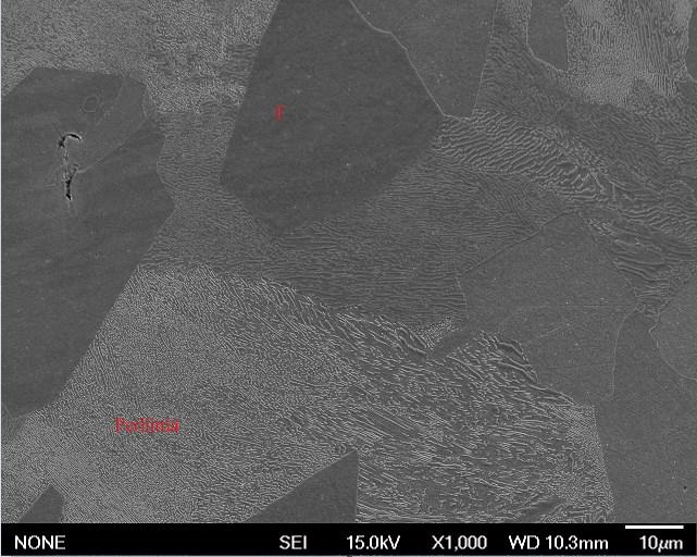 119 Kuva 67: Koesarjan 1. 36457-03A -lajin FEG-SEM-kuva mikrorakenteesta lämpötilan ollessa 580 C (vedynpoistohehkutuksen jälkeen), 10 mm näytteen yläpinnasta Kuva 67.