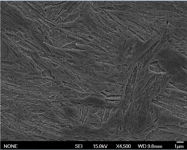 131 Kuva 81: Koesarjan 2. valssatun 36457-03A -lajin FE-SEM-kuva, nauhan keskilinja (4mm pinnasta) Kuvien 80. ja 81.