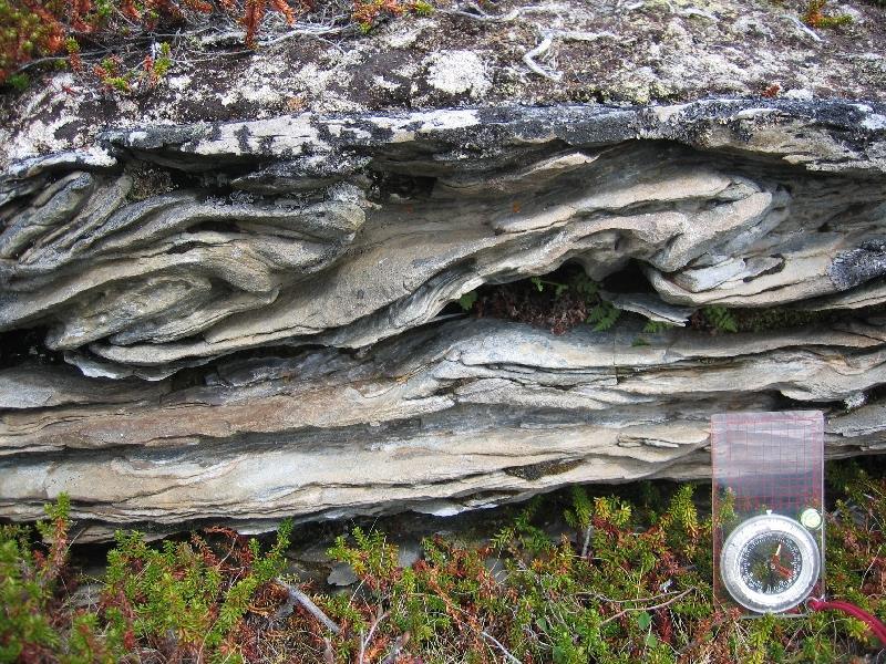 (hard-rock tectonic deformation) Direction of younging (top directions) Are rocks folded Major