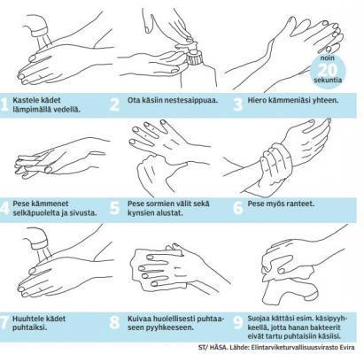 Epidemioiden ehkäisy siivoustyössä käsihygienian merkitys Käsienpesusta 70 % suomalasista pesee kätensä wc käynnin jälkeen 30 % suomalasista ei pese käsiään