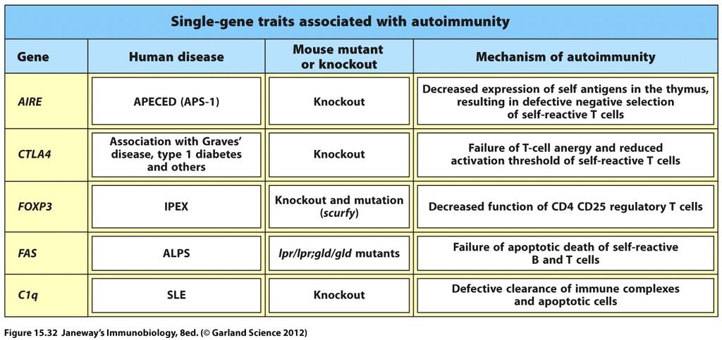 tuhoutuminen SingleGeneDiseases Yhden geenin