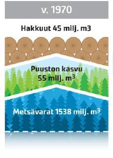 Tavoitteena Metsä 150 Metsien potentiaali ei ole vielä