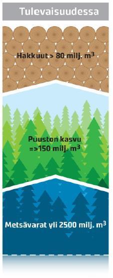 hakkuumäärät vähentämättä metsävaroja Runsaat metsävarat