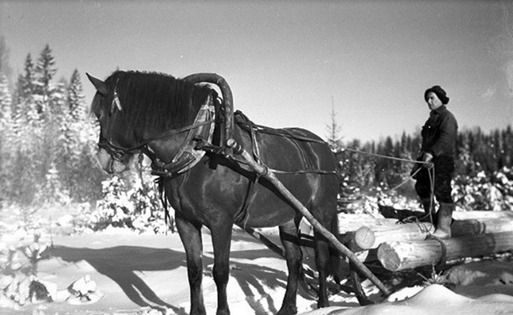 Tammi-helmikuussa 150 000 miestä,
