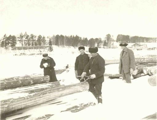 Puumarkkinat pähkinänkuoressa Puukauppa on käynyt hyvin. Alkuvuoden ostosaldo n.