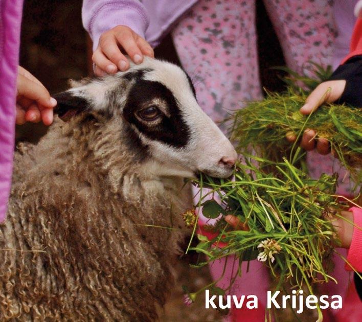 VANTAAN 4H KATRINEBERGIN 4H-KOTIELÄINPIHAN LEIRIT Kaikki leirit pidetään Katrinebergin kartanolla, Katriinankuja 5, 01760 Vantaa.