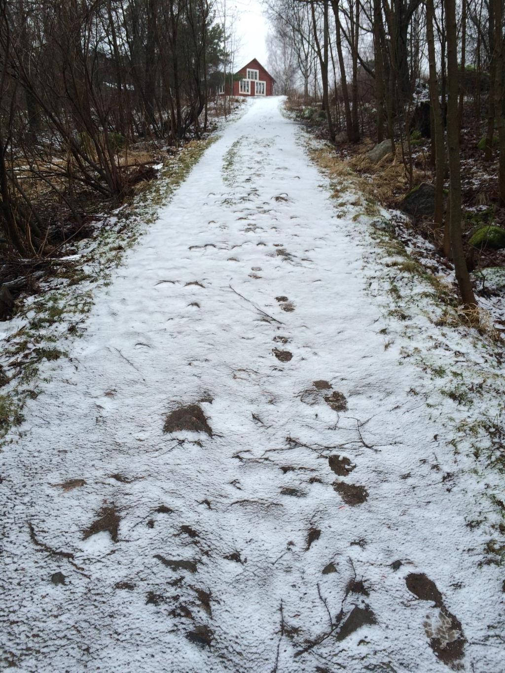 Ylämäkeen kulkiessa katse kohdistuu