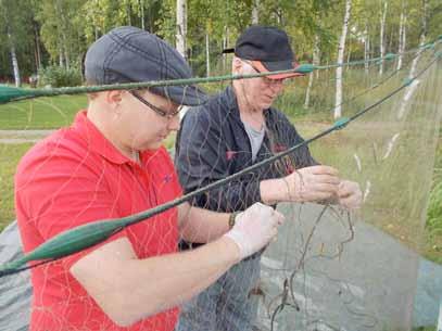 Taulukko 11. Eräiden Pohjois-Karjalassa tehtyjen kalastotutkimusten yksikkösaaliita (Tossavainen 2011, 2013, 2014a, 2014b, 2014c, Turunen 1990).