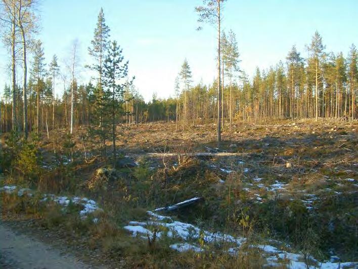 1 Siikajoki-Muhos voimajohtolinjausten muinaisjäännösten täydennysinventointi Tyrnävällä,