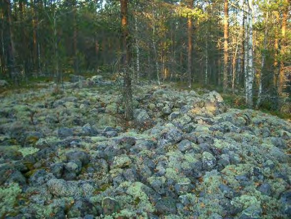 18 TYRNÄVÄ 68 REUNASUO 3 Rauh.lk: 2 Ajoitus: kivikautinen (?