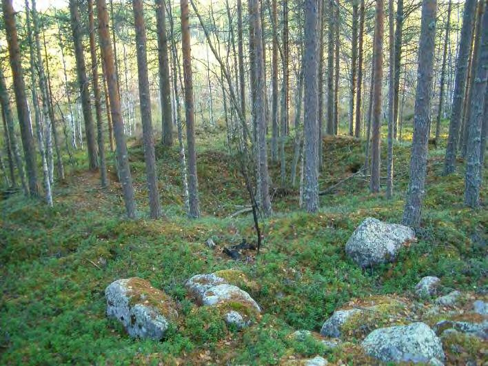 20 Huomiot: N-S suuntaisen mäenharjanteen eteläosan itäreunalla, suohon laskevan rinteen alaosassa suon laidalla. Ks. kartta.