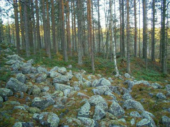 Tervahauta on muinaisen pallekivikon - kivine n rantatörmä/valli - päällä oittain rinteessä osittain muinaisen rantatasanteen