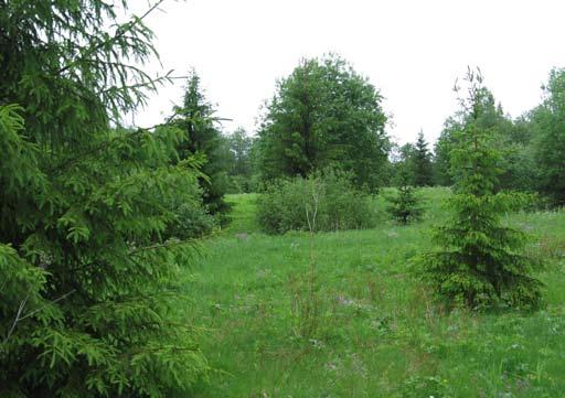 luonnon monimuotoisuuden edistämisessä suuri merkitys, koska alueella pesii paljon lintuja. Kohteen pinta-ala: 1,54 ha Hoitosuositus: Rantapuustoa ja pensaita tulisi harventaa.